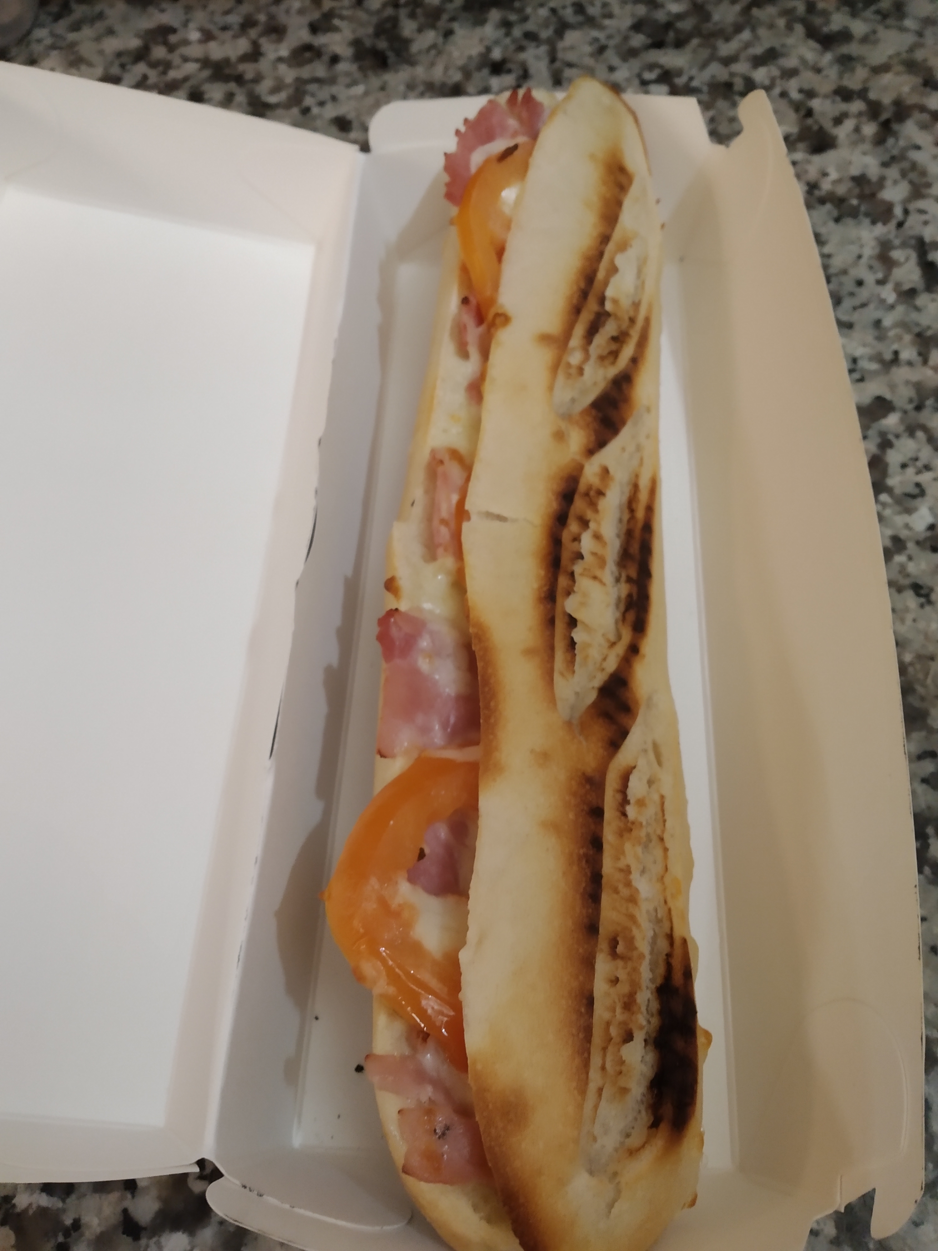 Panini